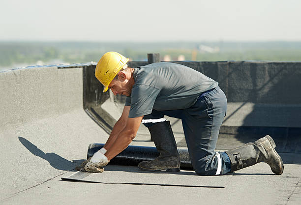 Best Cellulose Insulation  in Chamblee, GA